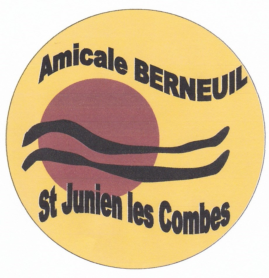 BG7491 - INSIGNE BADGE CLUB BIBLIOTHEQUE ROUGE ET OR